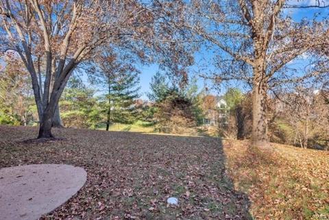 1041 Ridgeway Meadow Dr, Ellisville, MO 63021 photo 24