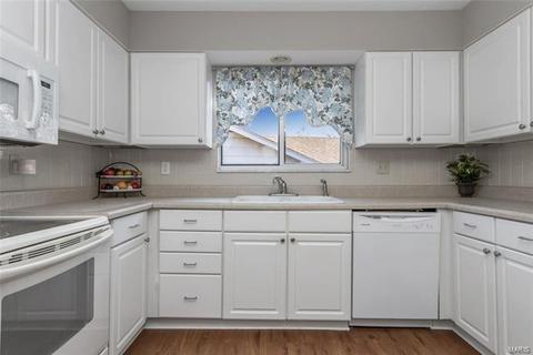 1041 Ridgeway Meadow Dr, Ellisville, MO 63021 photo 11