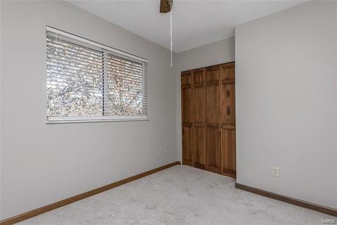 1041 Ridgeway Meadow Dr, Ellisville, MO 63021 photo 20