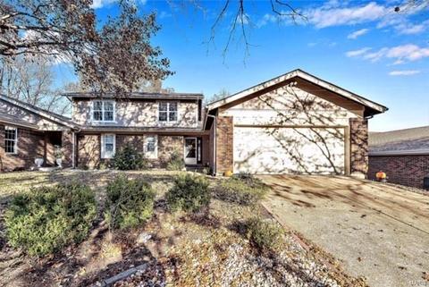 1041 Ridgeway Meadow Dr, Ellisville, MO 63021 photo 29