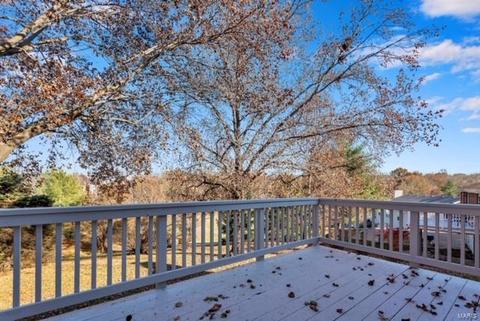 1041 Ridgeway Meadow Dr, Ellisville, MO 63021 photo 22