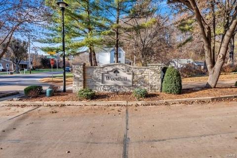 1041 Ridgeway Meadow Dr, Ellisville, MO 63021 photo 27