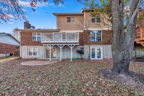 1041 Ridgeway Meadow Dr, Ellisville, MO 63021 photo 2