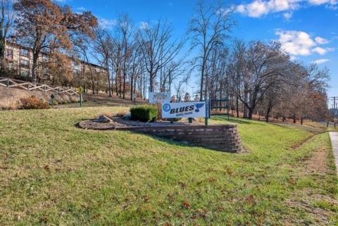 1041 Ridgeway Meadow Dr, Ellisville, MO 63021 photo 28