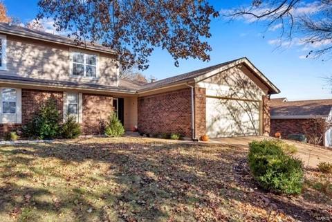 1041 Ridgeway Meadow Dr, Ellisville, MO 63021 photo 25
