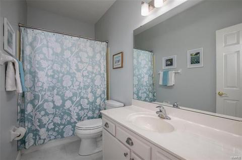 419 Lynwood Forest Dr, Manchester, MO 63021 photo 28