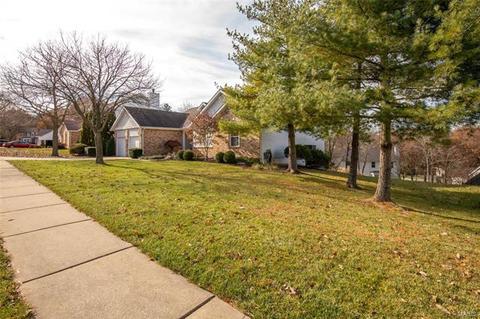 419 Lynwood Forest Dr, Manchester, MO 63021 photo 5