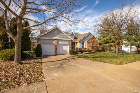 419 Lynwood Forest Dr, Manchester, MO 63021 photo 3