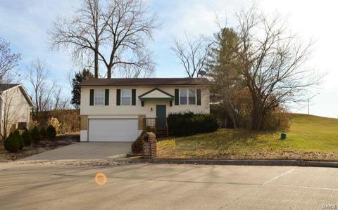 116 Elk Run Dr, Eureka, MO 63025 photo 1