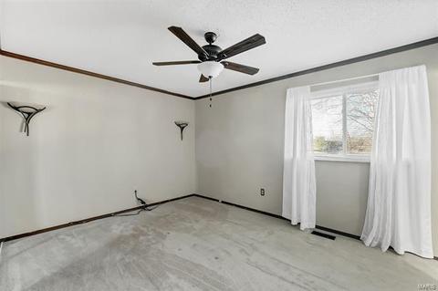 3 Cottage Cir, O'fallon, MO 63366 photo 12