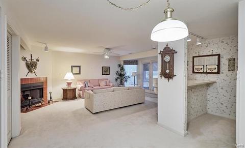 120 Baxter Heights Ct, Manchester, MO 63011 photo 44
