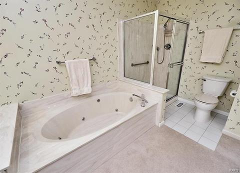 120 Baxter Heights Ct, Manchester, MO 63011 photo 35
