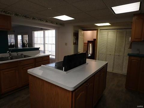10124 Stephens Pl, Saint Ann, MO 63074 photo 6
