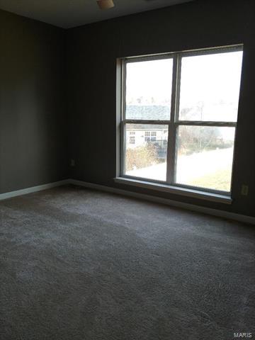 508 Twain, O'fallon, MO 63366 photo 30
