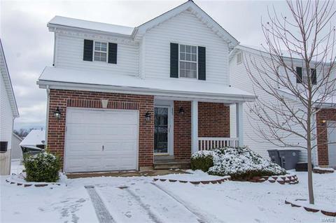 223 Tyndale Dr, O'fallon, MO 63366 photo 44