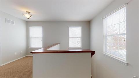 223 Tyndale Dr, O'fallon, MO 63366 photo 27