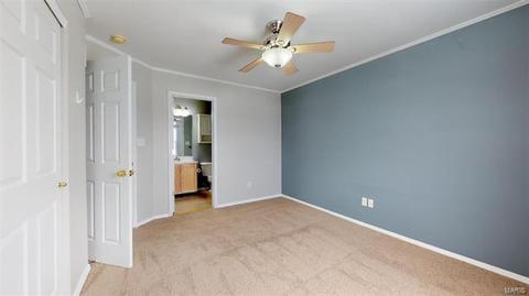 223 Tyndale Dr, O'fallon, MO 63366 photo 34