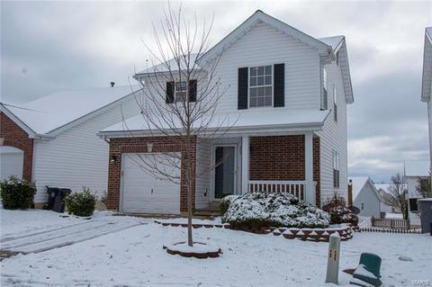 223 Tyndale Dr, O'fallon, MO 63366 photo 4
