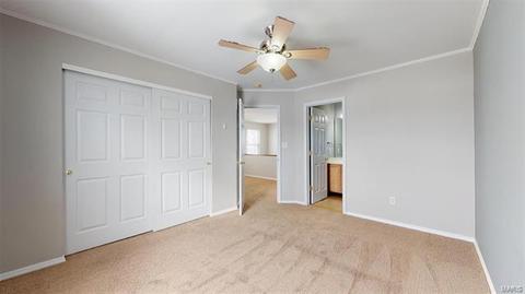 223 Tyndale Dr, O'fallon, MO 63366 photo 35