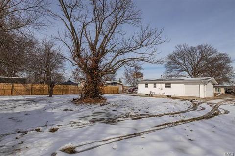 221 View Point Ln, Lake Saint Louis, MO 63367 photo 11