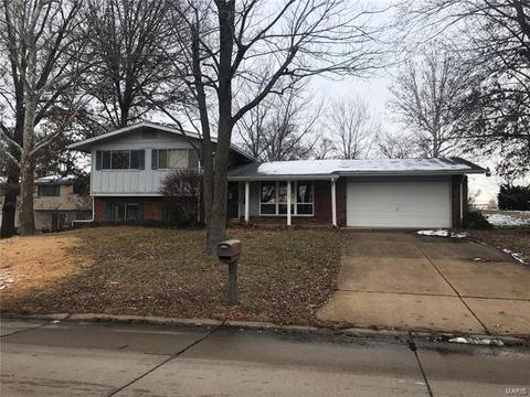 1137 Bromfield, Manchester, MO 63021 photo 2