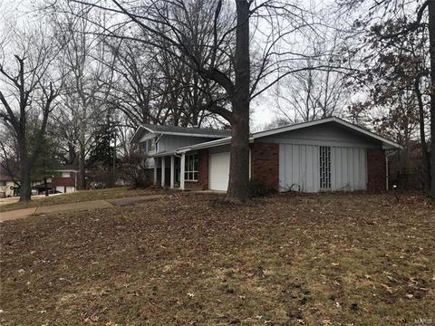 1137 Bromfield, Manchester, MO 63021 photo 16