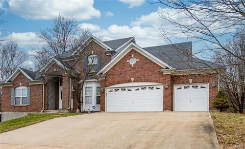24 Mar El Ct, Ellisville, MO 63011 photo 36