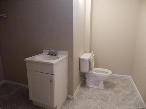 1105 Cypress Dr, O'fallon, MO 63366 photo 29