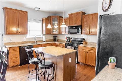 1601 Grace View Dr, Eureka, MO 63025 photo 17