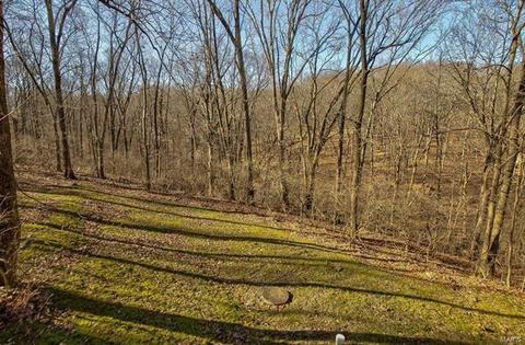 1427 Pine Ridge Estates Ct, Wildwood, MO 63021 photo 47