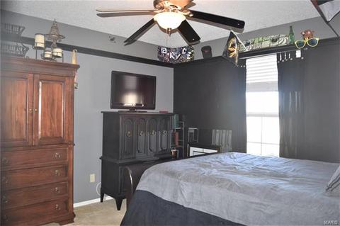 1738 Highgrove Dr, O'fallon, MO 63366 photo 18