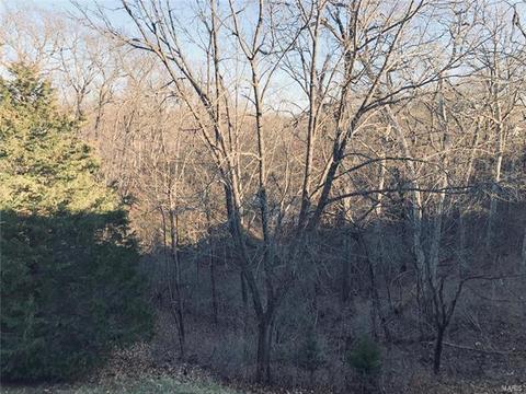 816 Woodside Trails Dr, Ballwin, MO 63021 photo 23