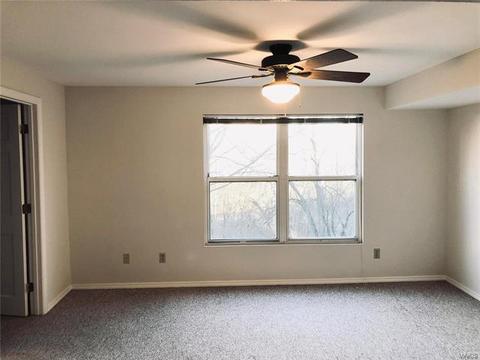 816 Woodside Trails Dr, Ballwin, MO 63021 photo 19