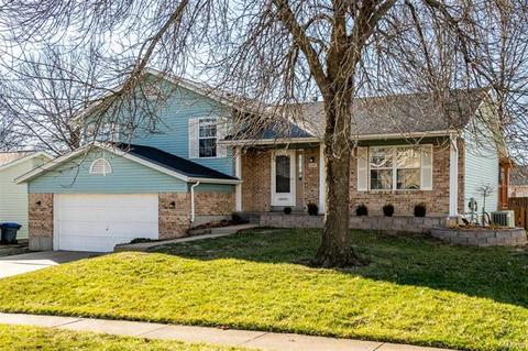 6356 Star Buck Dr, O'fallon, MO 63368 photo 2