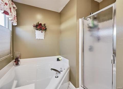 105 Royallbrook Ln, O'fallon, MO 63368 photo 21