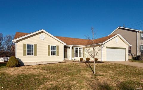 105 Royallbrook Ln, O'fallon, MO 63368 photo 35