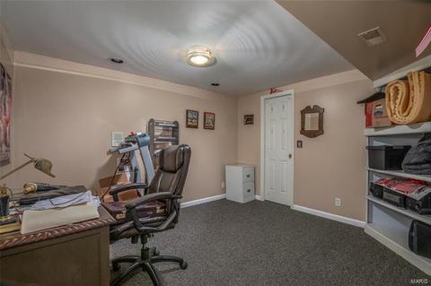 3 Cornell Dr, O'fallon, MO 63366 photo 21