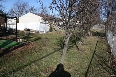 1712 Springhill Dr, O'fallon, MO 63366 photo 23