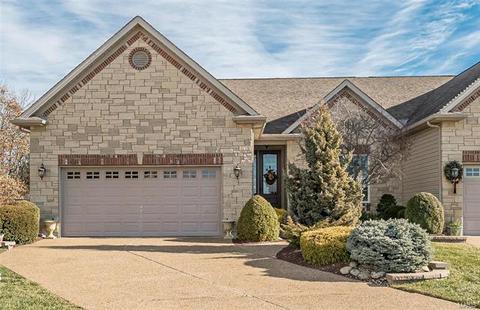 46 Mint Ct, O'fallon, MO 63366 photo 1