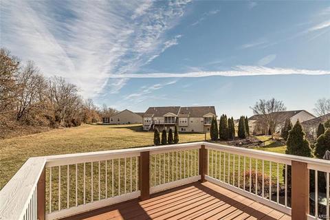 46 Mint Ct, O'fallon, MO 63366 photo 29