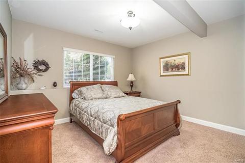46 Mint Ct, O'fallon, MO 63366 photo 26