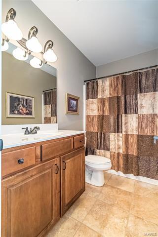 46 Mint Ct, O'fallon, MO 63366 photo 27