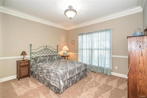 46 Mint Ct, O'fallon, MO 63366 photo 16