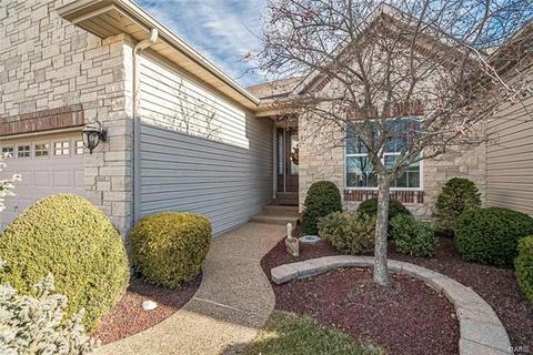 46 Mint Ct, O'fallon, MO 63366 photo 34