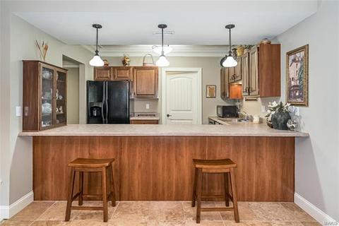 46 Mint Ct, O'fallon, MO 63366 photo 24