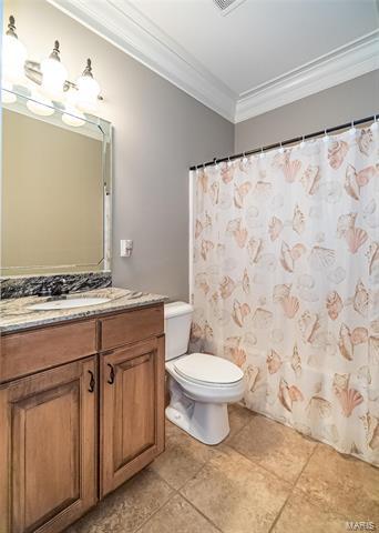 46 Mint Ct, O'fallon, MO 63366 photo 17