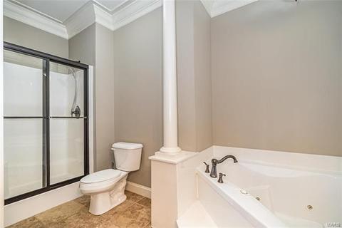 46 Mint Ct, O'fallon, MO 63366 photo 15