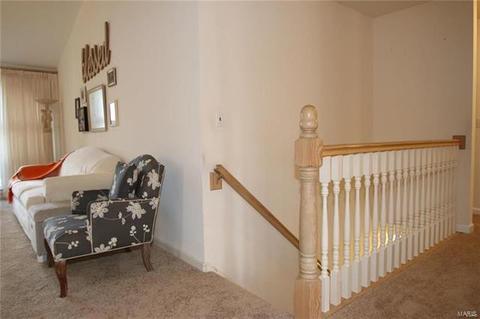 206 Chestnut Hill Dr, O'fallon, MO 63368 photo 26