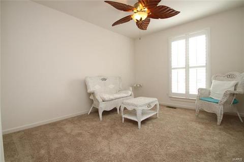 206 Chestnut Hill Dr, O'fallon, MO 63368 photo 24