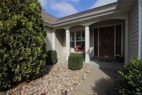 206 Chestnut Hill Dr, O'fallon, MO 63368 photo 36